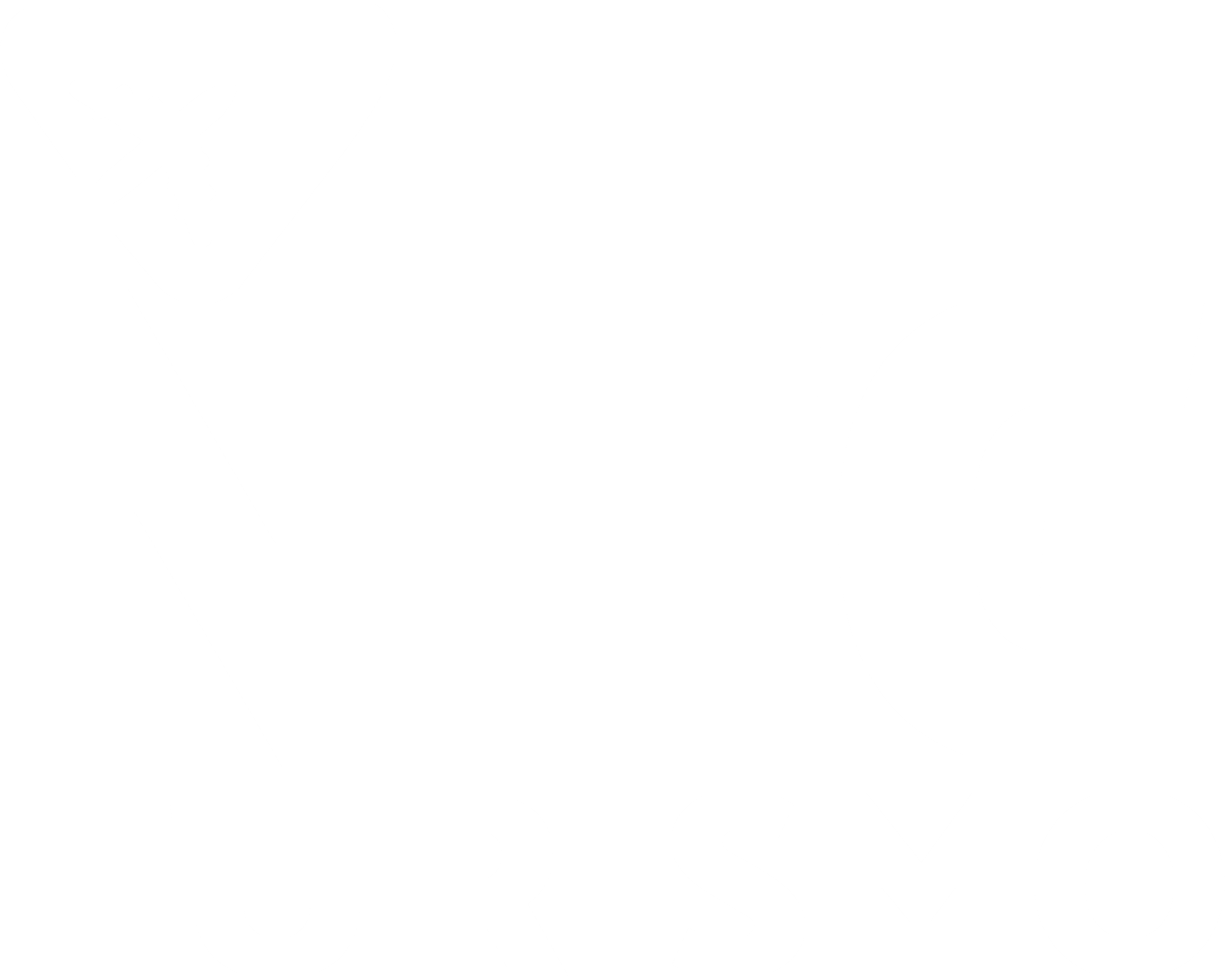 NTG Turismo