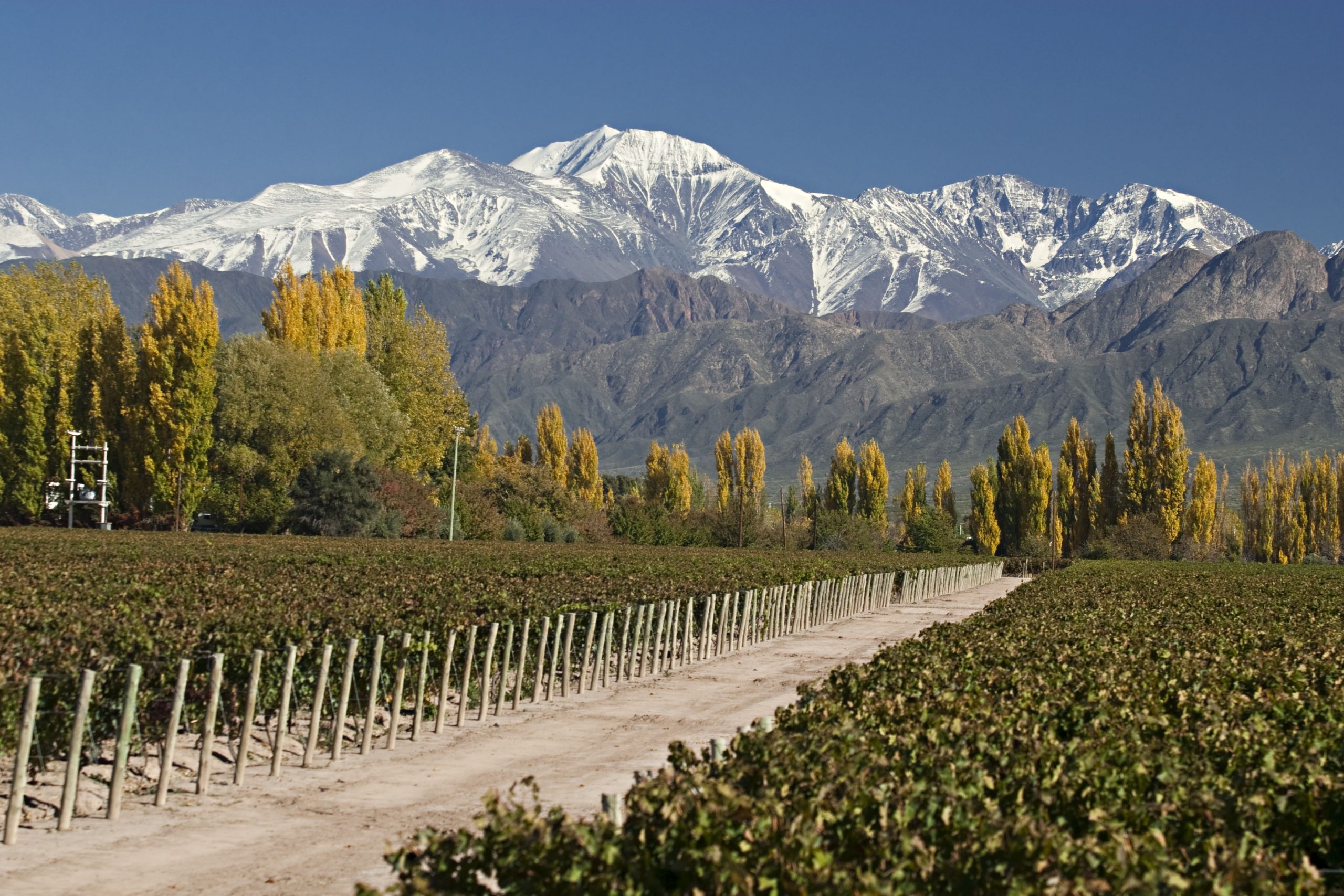 Mendoza