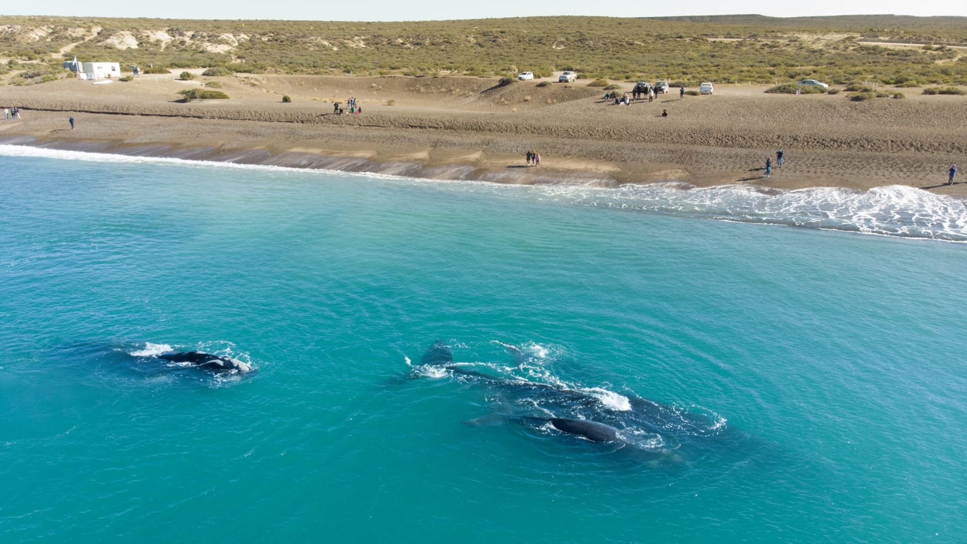 Puerto Madryn