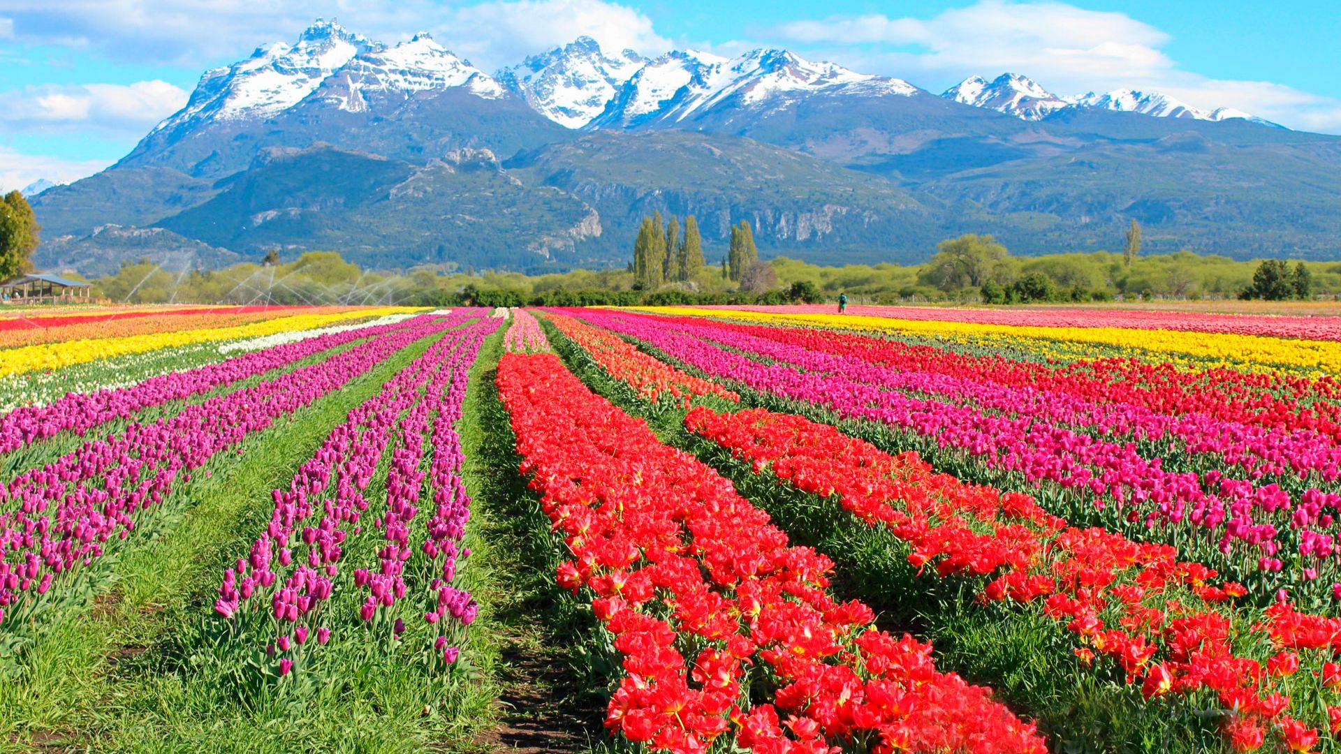 San Martín de los Andes + Esquel